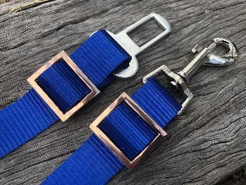 Seat Belt buckle - Cams Cords