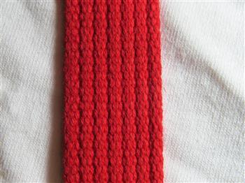 Spun Polyester Webbing - Red 12mm - Cams Cords