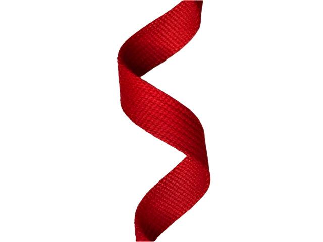 Spun Polyester Webbing - Red 20mm - Cams Cords