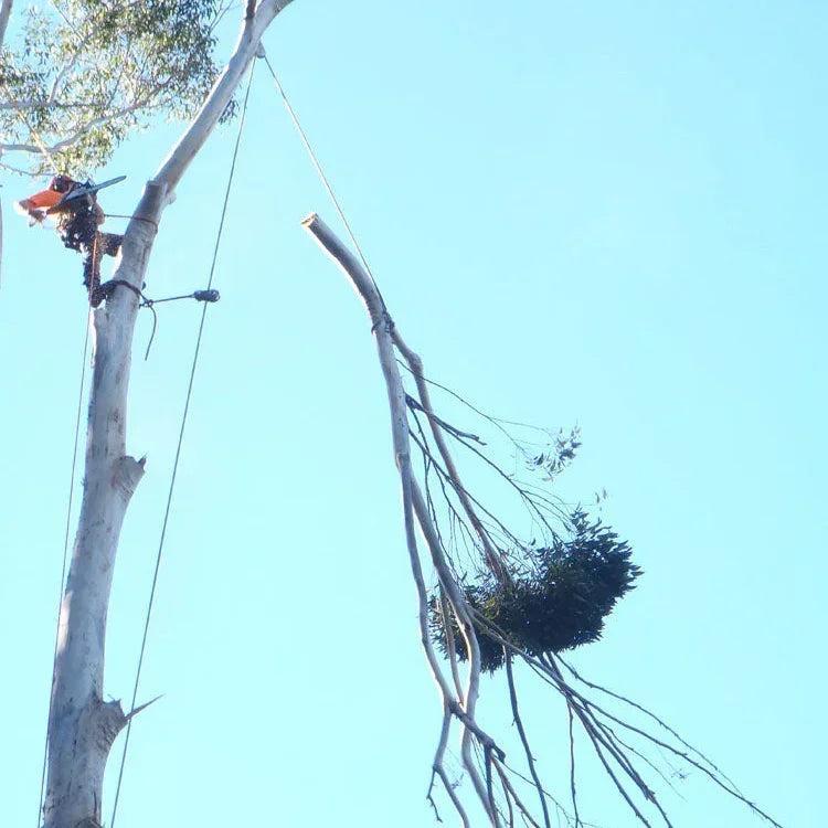 12mm Ironbark Arborist Branch Lowering Ropes
