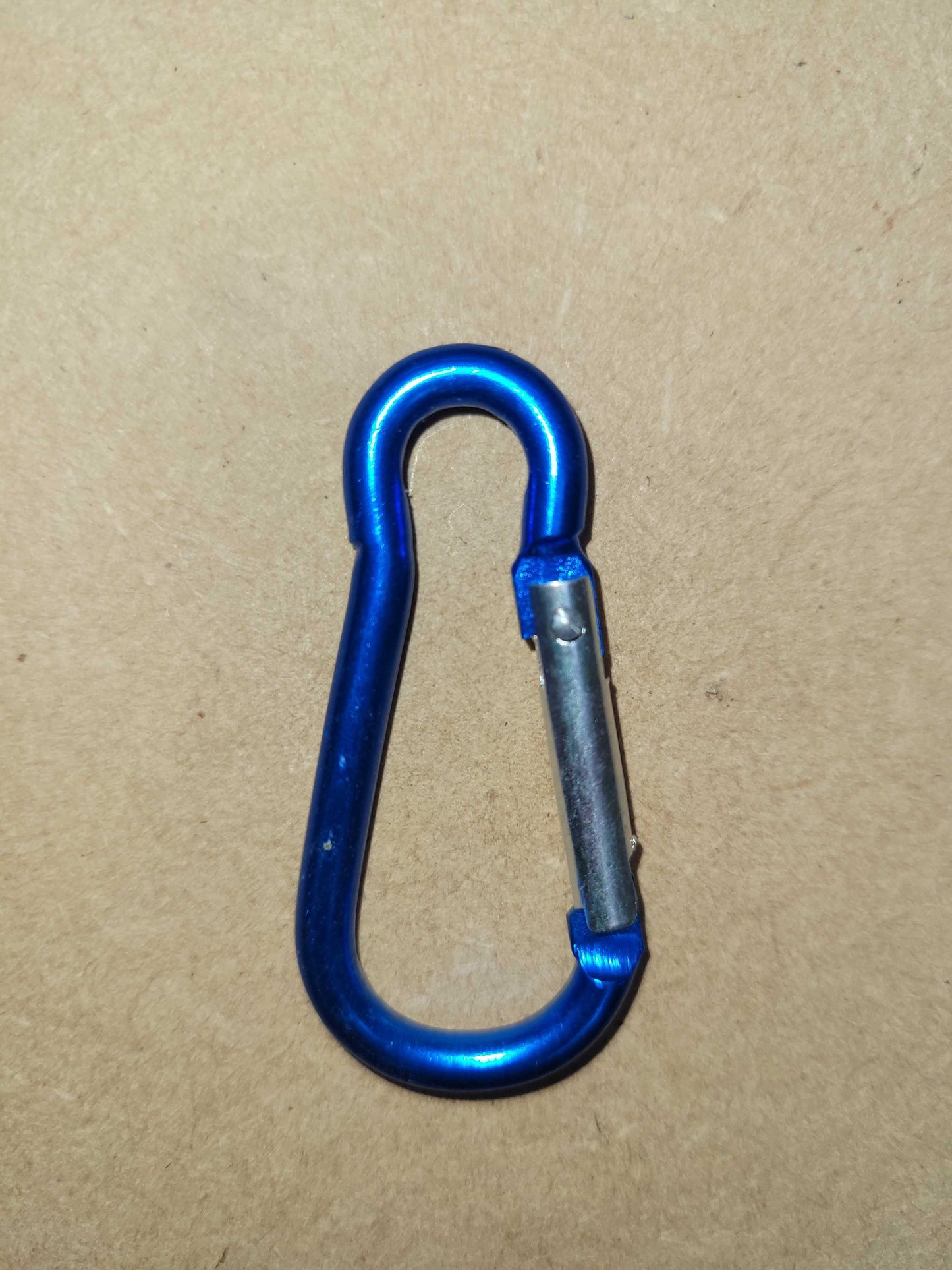 Carabiners - Light Blue - Cams Cords