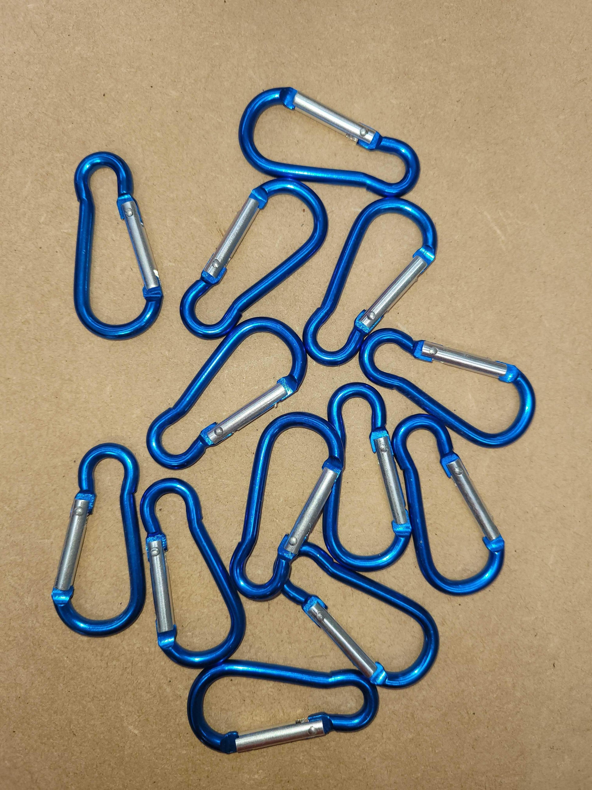 Carabiners - Light Blue - Cams Cords