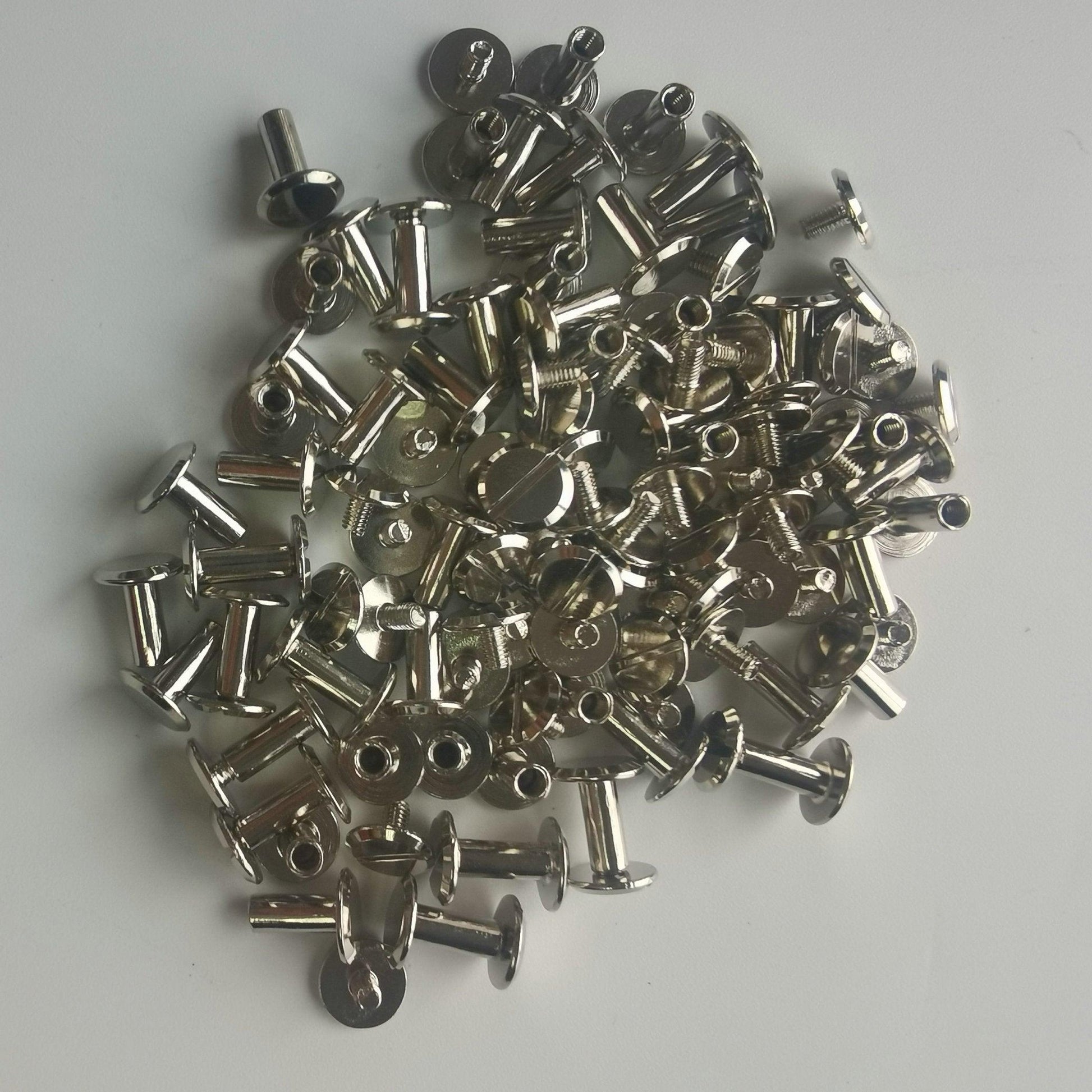 Chicago Screw - 10mm Silver - Cams Cords