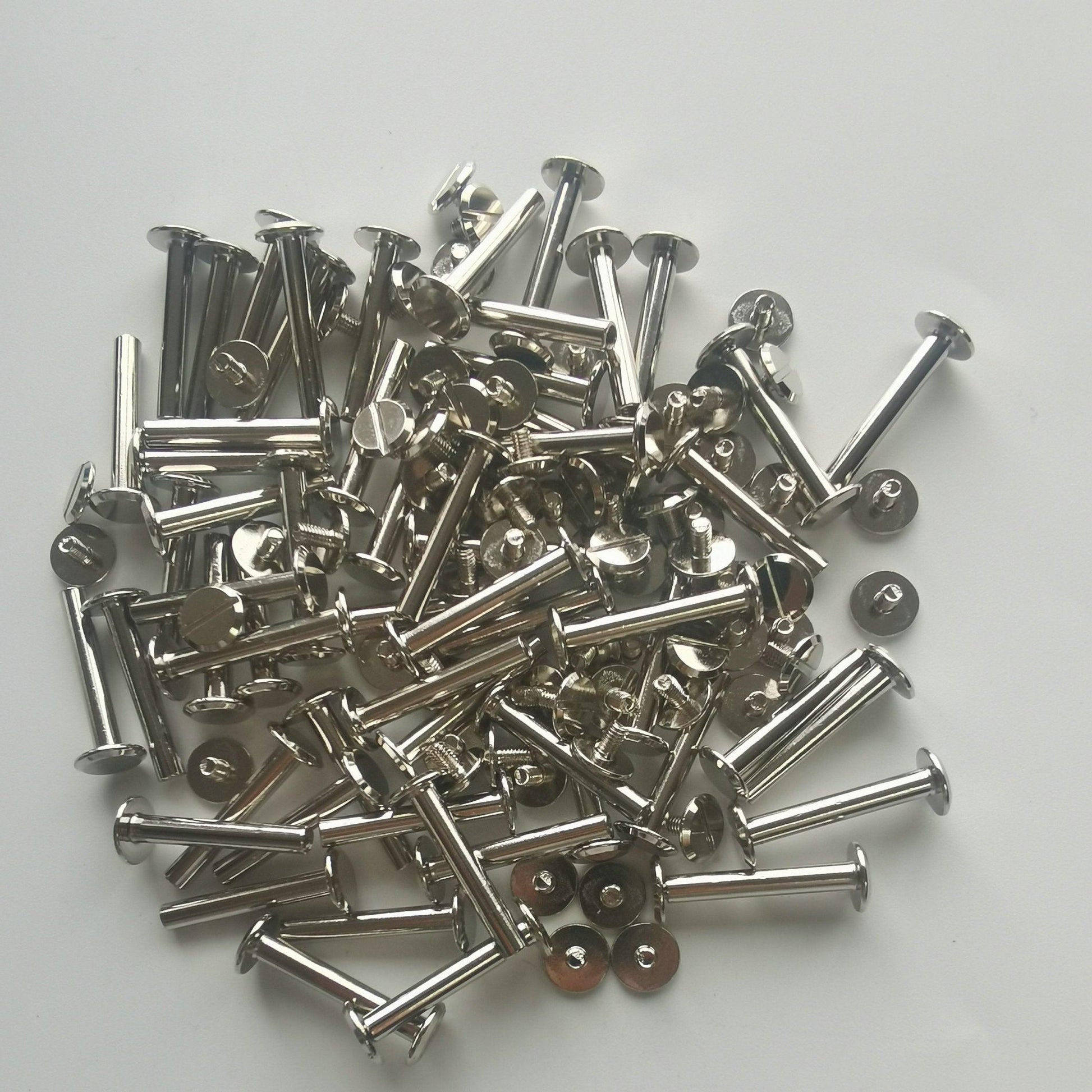 Chicago Screw - 25mm Silver - Cams Cords