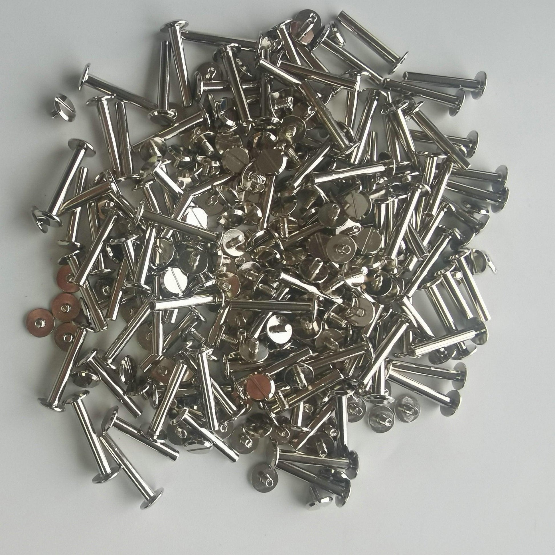 Chicago Screw - 25mm Silver - Cams Cords