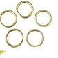O Ring - 25mm x 4mm - Gold - Cams Cords