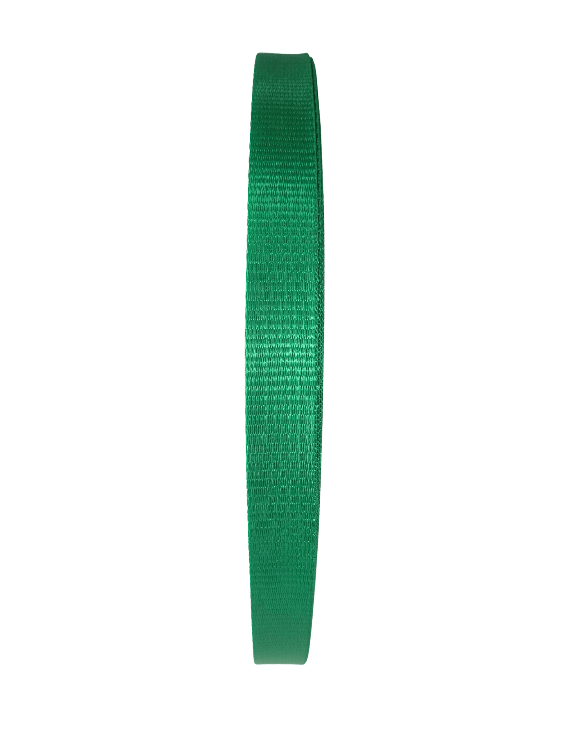 Polyester Webbing - Emerald Green 20mm - Cams Cords
