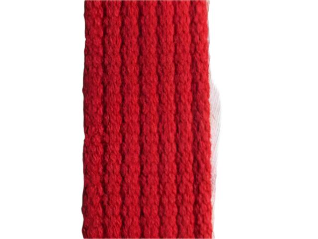 Spun Polyester Webbing - Red 20mm - Cams Cords